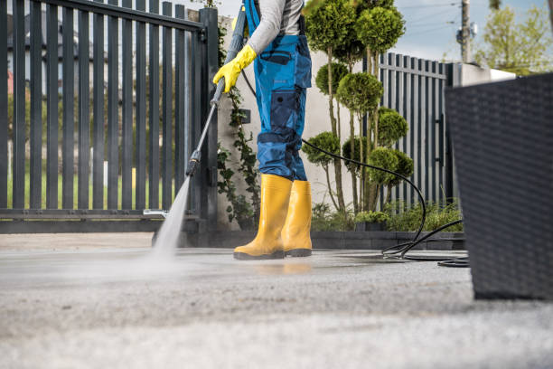 Best Sidewalk and Walkway Cleaning  in Hunter, OH